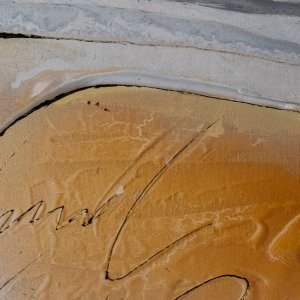 Detail zu Bild Skorpion