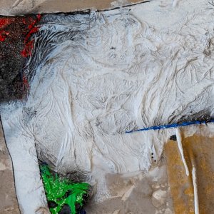 Detail zu Bild Millepiedi
